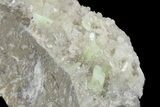 2.9" Green Augelite Crystals on Quartz - Peru - #173385-1